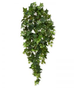 Hedera hangplant 100 cm groen