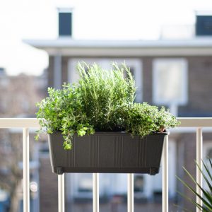 Balkon Plantenbox Antraciet - Kruidenplanten