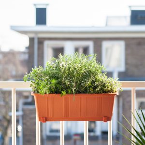 Balkon Plantenbox Terracotta - Kruidenplanten