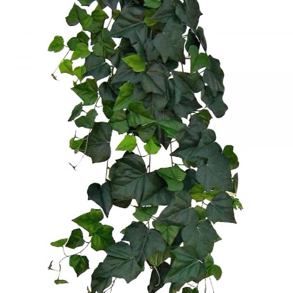 Hedera hangplant 180cm Deluxe