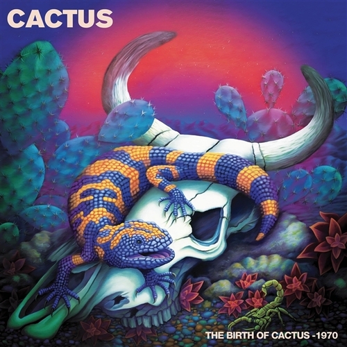 The Birth Of Cactus -1970 - LP (0889466315619)